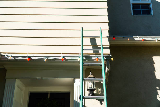 Best Historical Building Siding Restoration  in South Dennis, NJ