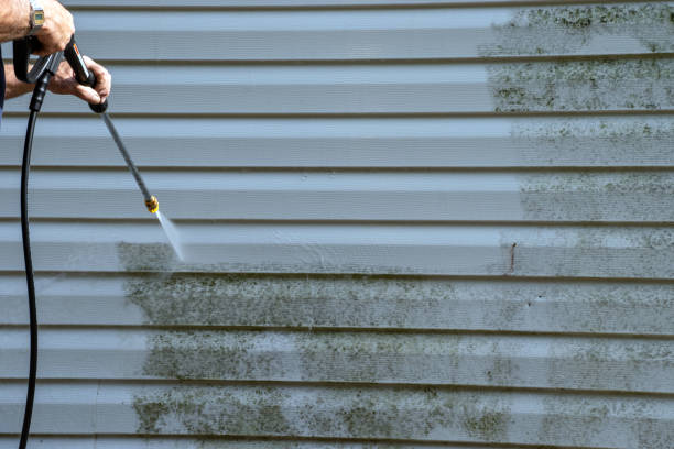 Best Residential Vinyl Siding Installation  in South Dennis, NJ