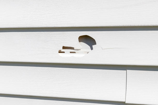 Best Fiber Cement Siding Installation  in South Dennis, NJ