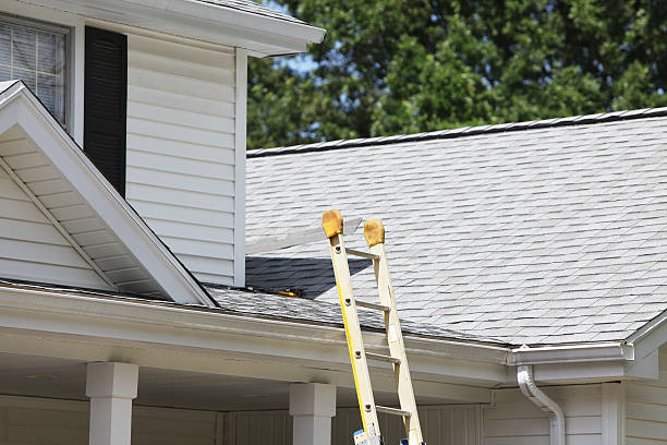 Best Custom Trim and Detailing for Siding  in South Dennis, NJ
